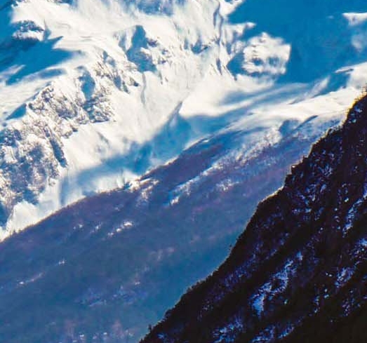 江苏粉象生活下载