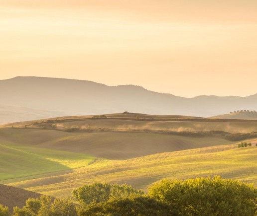 粉象生活邀请码