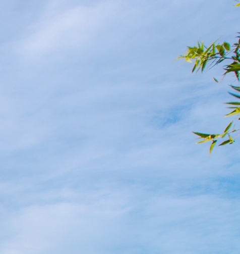 高佣联盟好还是粉象生活好