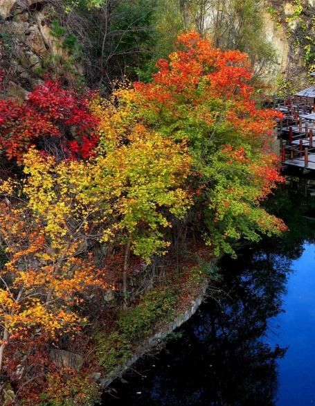 怎么入驻粉象生活