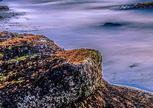 粉象生活存在多人收益吗