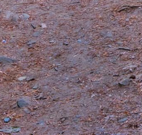 粉象生活真实收入