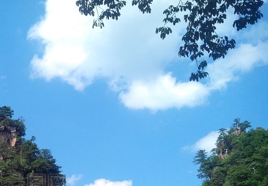 粉象生活下载app