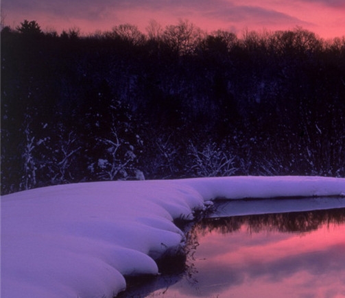 跟粉象生活类似的APP有哪些