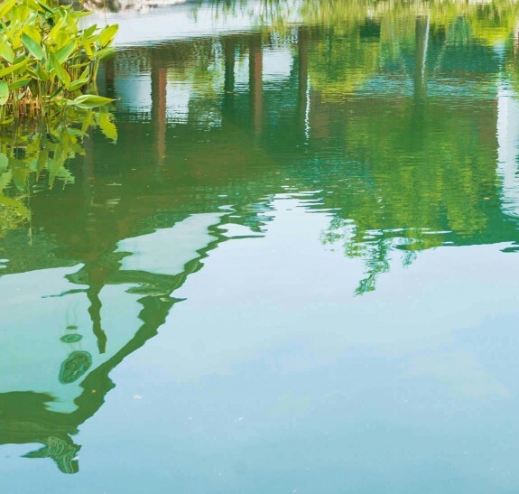 粉象生活真实收入