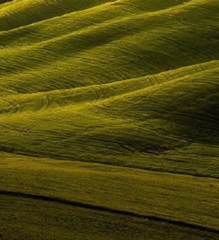 粉象生活可以赚钱吗