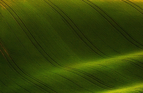 粉象生活购物教程