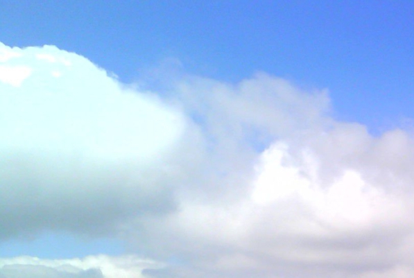 粉象生活展架模板