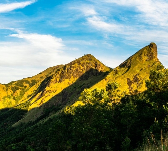 粉象生活二维码升级找fxsh33