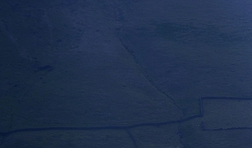 粉象生活下载app