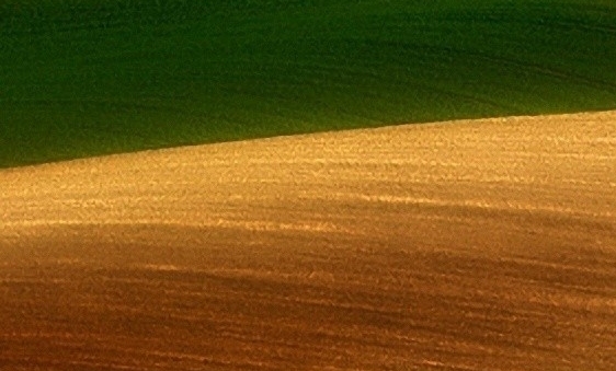 揭阳粉象生活使用教程