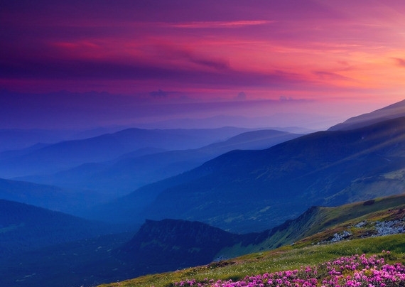 粉象生活的收益怎么体现