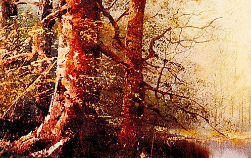 粉象生活吸粉文案