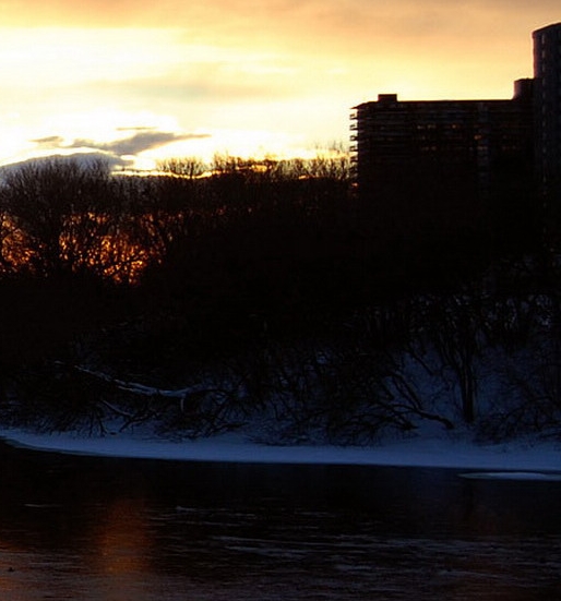 粉象生活下载app