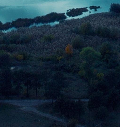 酒吧盲盒是什么