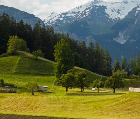 网红商品陈列图片