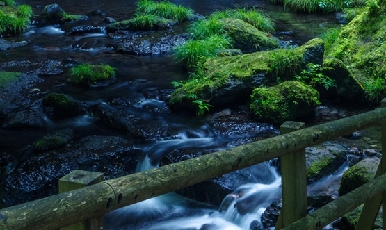 粉象生活宝妈如何挣钱
