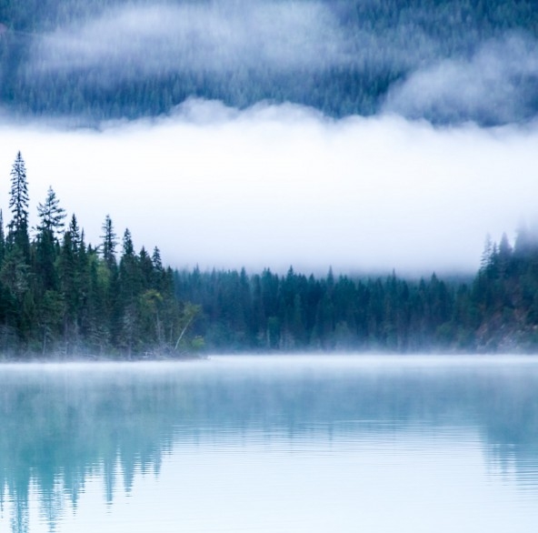 粉象生活接入京东