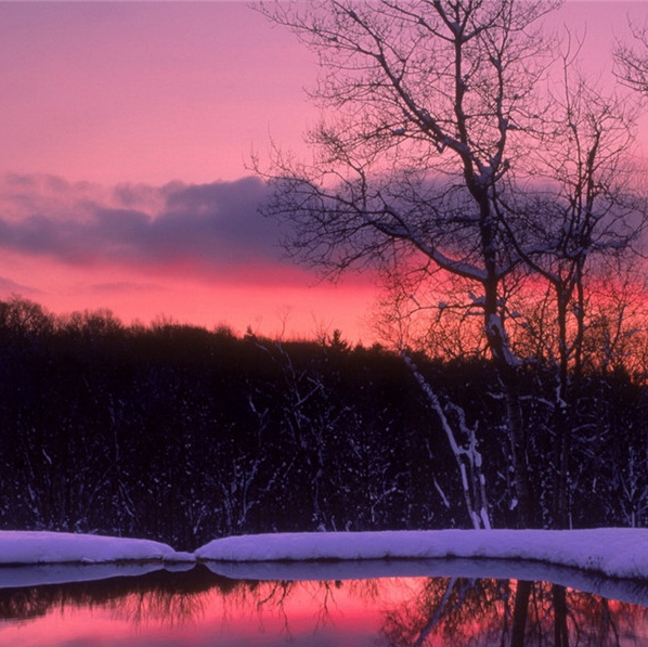 安徽相品智能科技有限公司