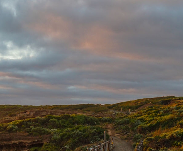 粉象生活田昊简介