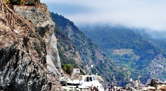 粉象生活推广有什么用