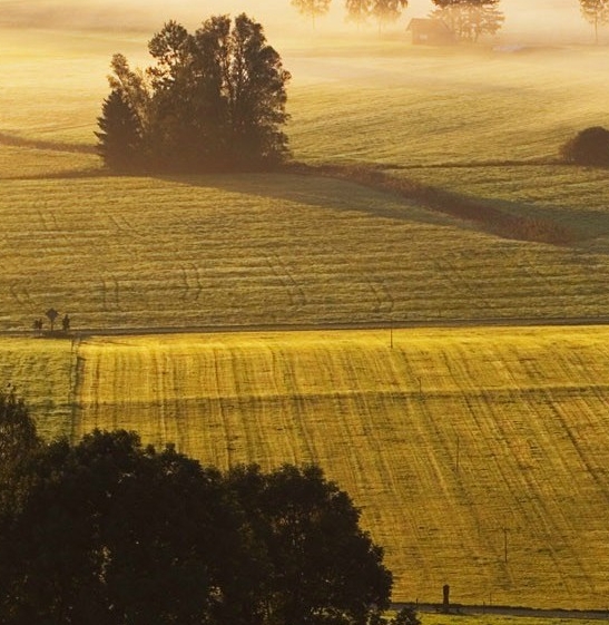 粉象生活宝妈如何挣钱