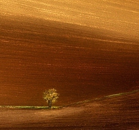 粉象生活赚钱有用吗