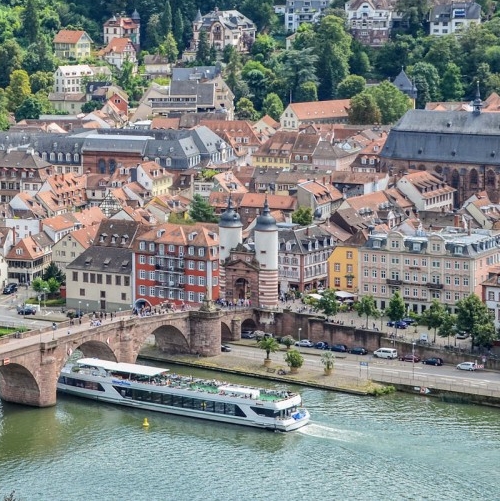 粉象生活开店用什么