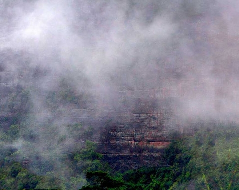 粉象生活怎么赚钱的