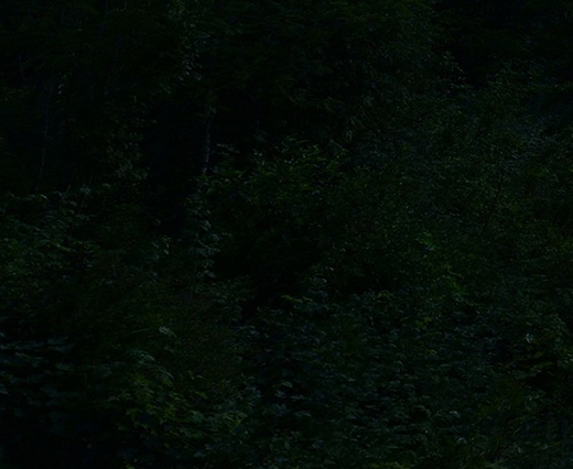 粉象生活如何获得佣金