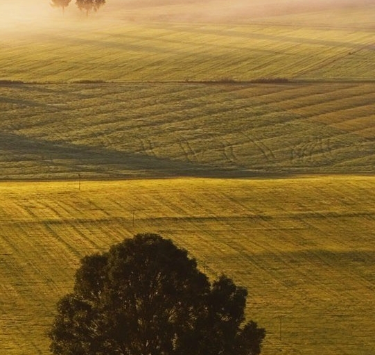 粉象生活能赚到钱吗