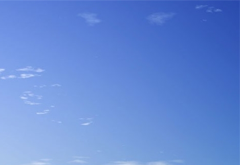 粉象生活下载app