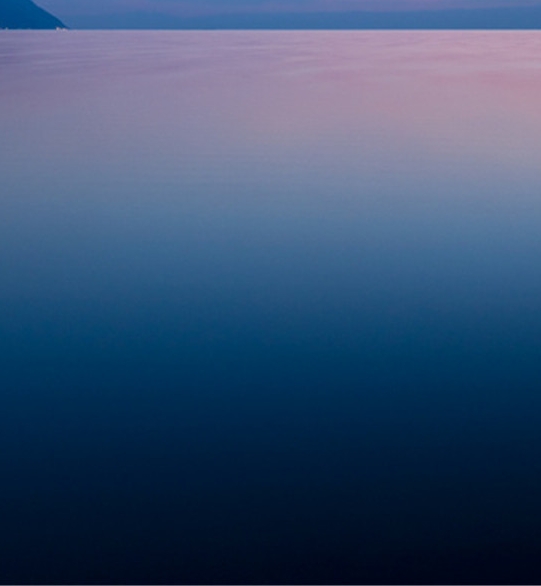 佳木斯粉象生活推广