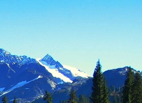 优信生活安全可靠吗