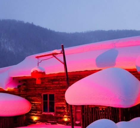 粉象生活东莞南城