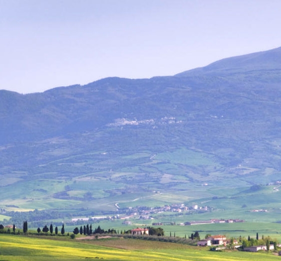 广东粉象生活合伙人