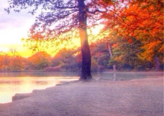 粉象生活能赚到钱吗