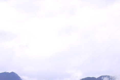 粉象生活能赚到钱吗