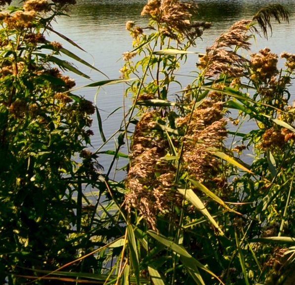 粉象生活如何推广赚钱