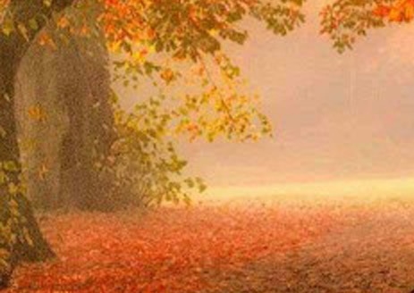 河南粉象生活教程