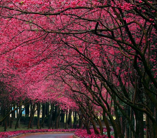 加入粉象生活赚钱吗