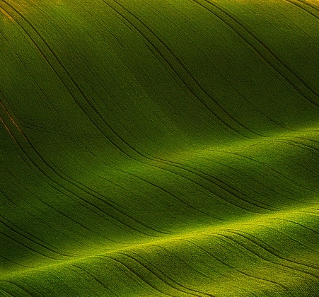 你们是怎么推广粉象的