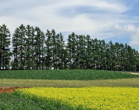 粉象生活下载app