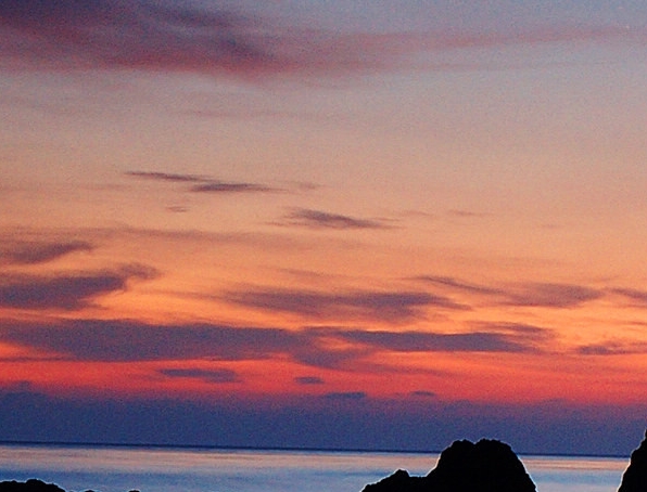 粉象生活邀请码