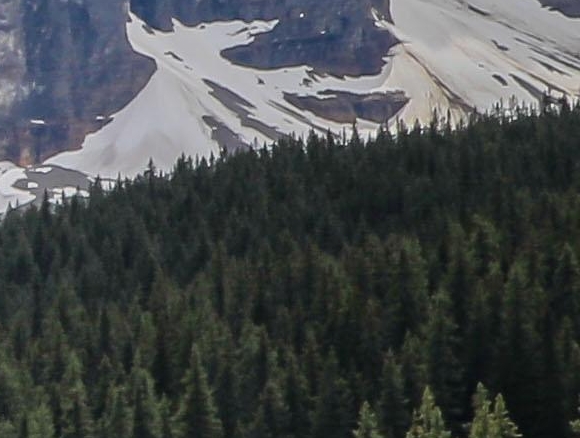 粉象生活最新广告
