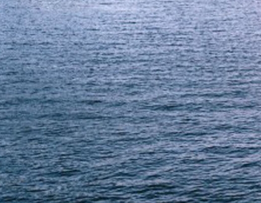 粉象生活怎么赚钱的