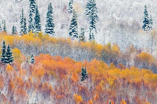 粉象生活里的东西是真的吗