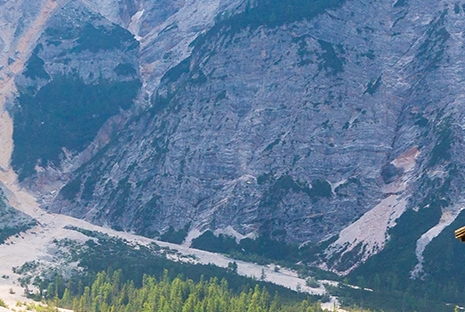 粉象生活电商怎么买