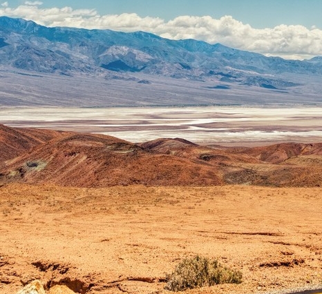 粉象生活邀请码