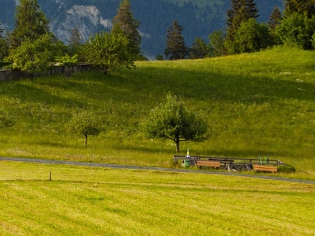 粉象生活赚钱教程